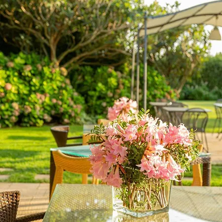 Wine Leda D'ittiri Farm stay Fertilia