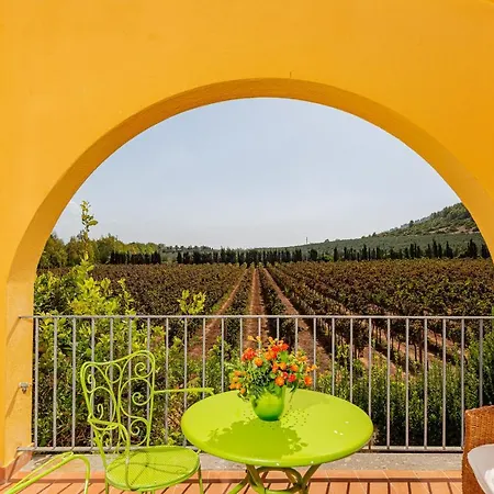 Wine Leda D'ittiri Farm stay Fertilia