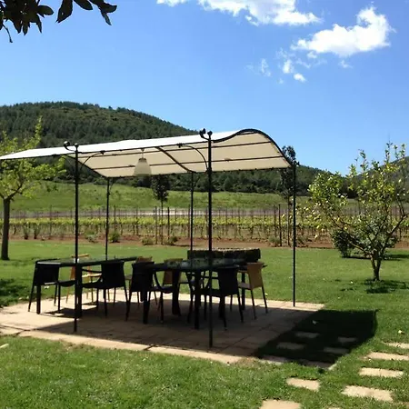 Farm stay Wine Leda D'ittiri *