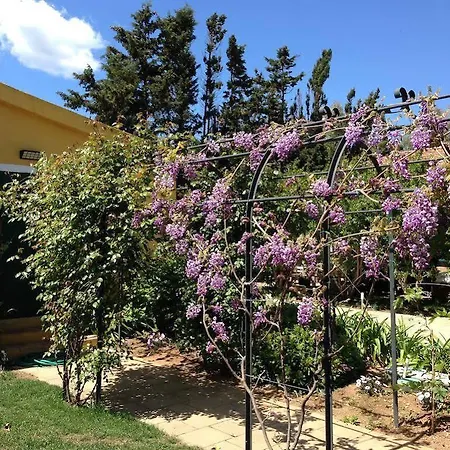Wine Leda D'ittiri Farm stay Fertilia