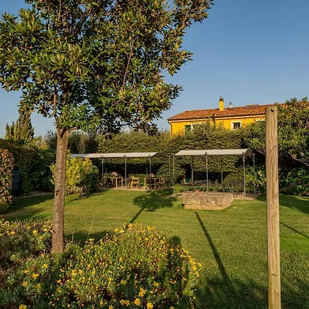 Wine Leda D'ittiri Fertilia